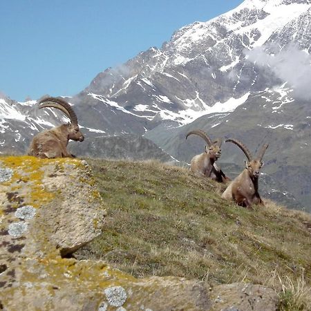 Charmant Studio Aux Pieds Des Pistes Vue Sur La Montagne Tignes Eksteriør bilde